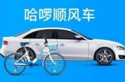 9分钟教程!林芝公司_哔哩哔哩-2